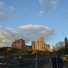 DSC_1545